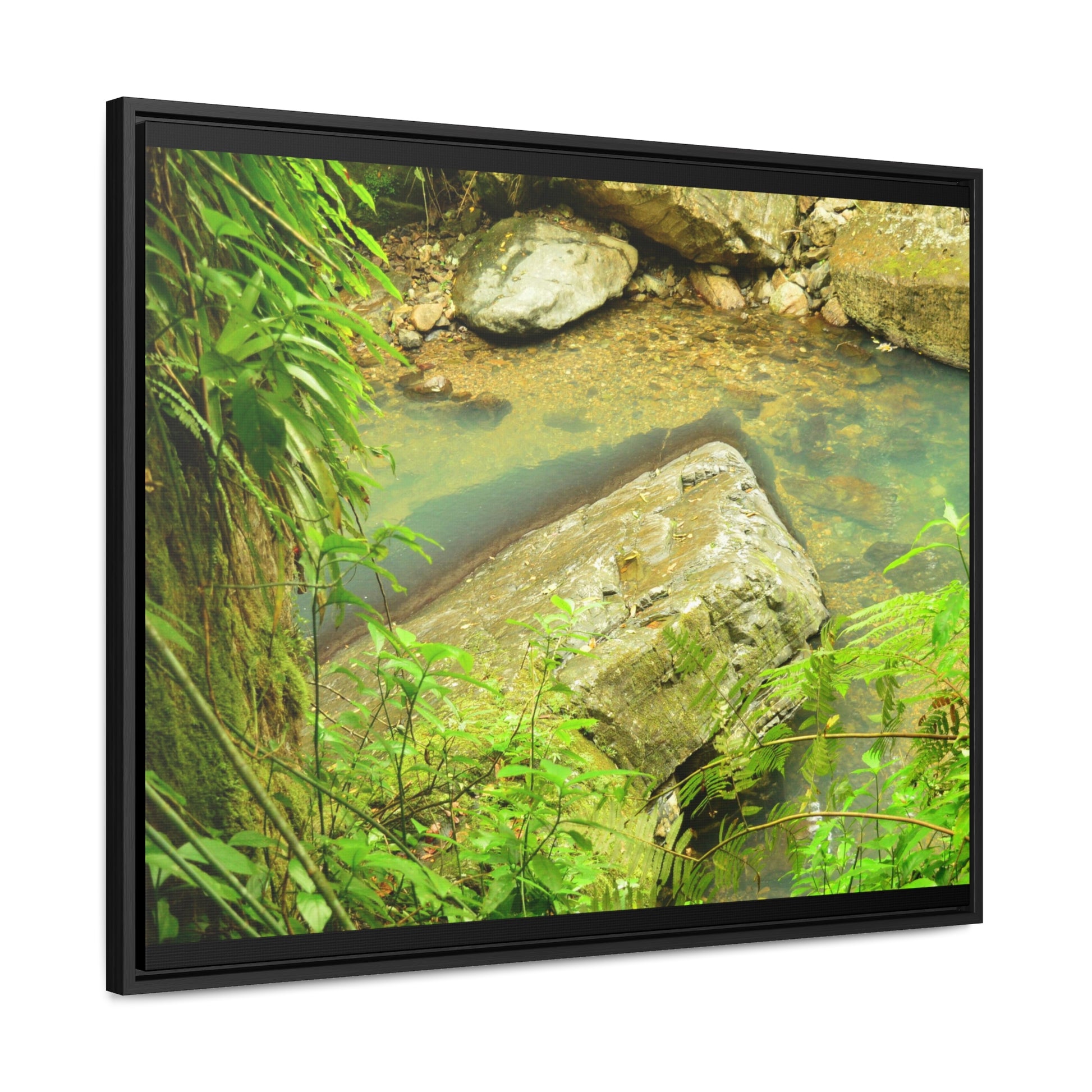 Rainforest Trails & Views - Gallery Canvas Wraps, Horizontal Frame - El Yunque National Forest - Puerto Rico - La Mina River & Trail - huge boulder - Green Forest Home