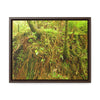 Rainforest Trails & Views - Gallery Canvas Wraps, Horizontal Frame - El Yunque National Forest - Puerto Rico - Deep forest explorations - reveal a boulder with 3 Sierra Palm red roots on it seeking the water level