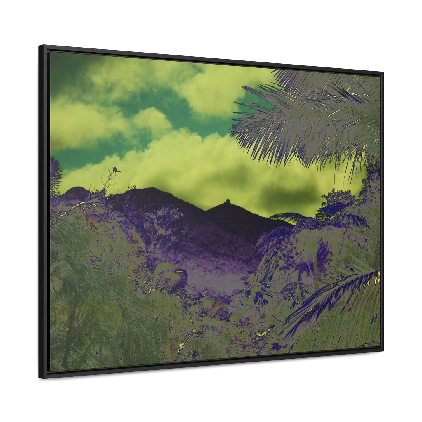 Rainforest Trails & Views - Gallery Canvas Wraps, Horizontal Frame - El Yunque National Forest - Puerto Rico - Mt Britton road view of Mt Britton - color enhanced - Green Forest Home