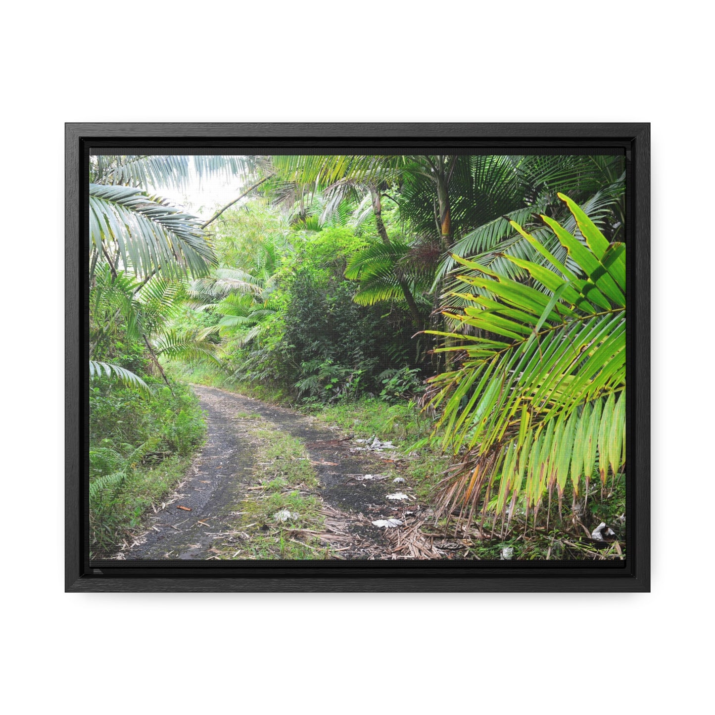 Rainforest Trails & Views - Gallery Canvas Wraps, Horizontal Frame - El Yunque National Forest - Puerto Rico - Closed PR191 road & landlside - Green Forest Home