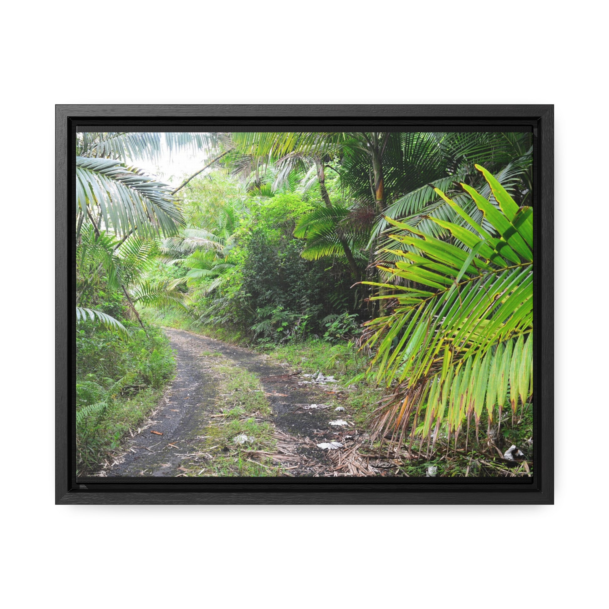 Rainforest Trails & Views - Gallery Canvas Wraps, Horizontal Frame - El Yunque National Forest - Puerto Rico - Closed PR191 road & landlside - Green Forest Home