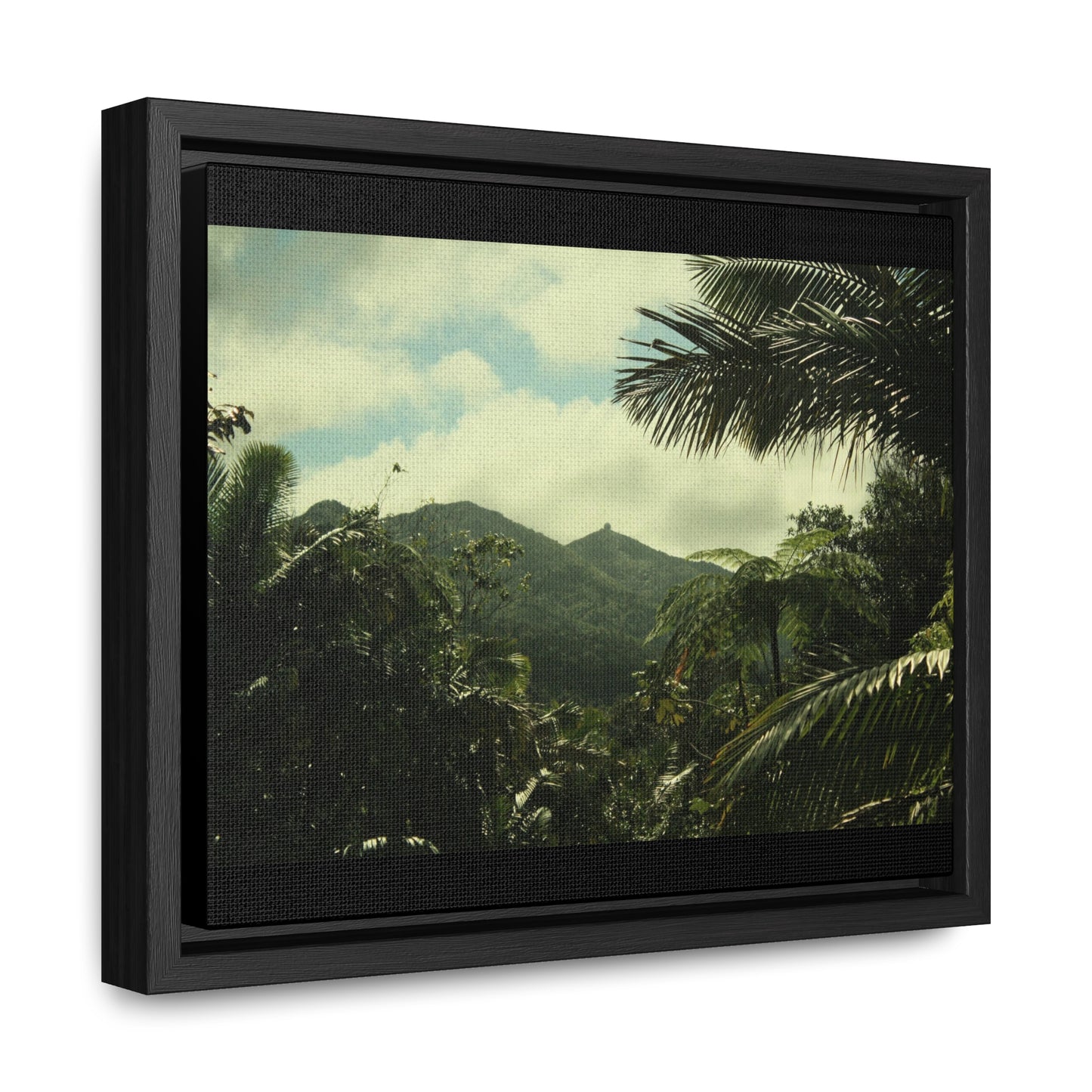 Rainforest Trails & Views - Gallery Canvas Wraps, Horizontal Frame - El Yunque National Forest - Puerto Rico - View of East Peak radars from closed road PR 191 - Green Forest Home