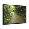 Rainforest Trails & Views - Gallery Canvas Wraps, Horizontal Frame - El Yunque National Forest - Puerto Rico - The winding El Yunque main road PR 191 near the top