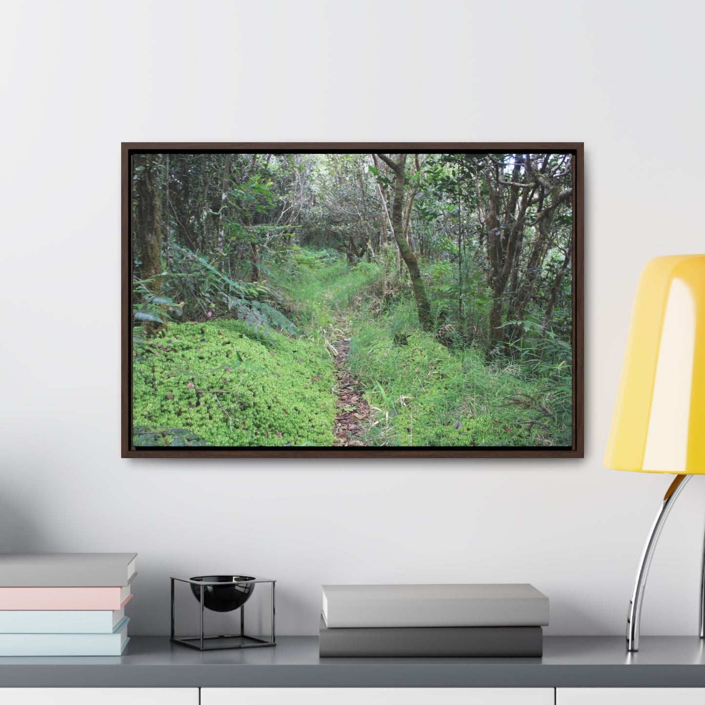 Rainforest Trails & Views - Gallery Canvas Wraps, Horizontal Frame - El Yunque National Forest - Tradewinds trail - cloud forest - Green Forest Home