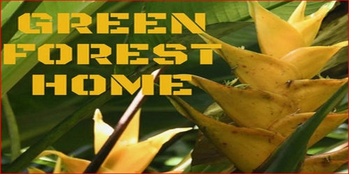 Green Forest Home