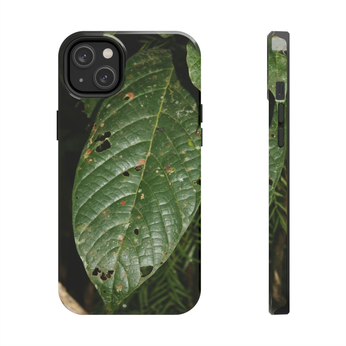 Tough Phone Cases, Case-Mate - Large Tropical leaf - El Yunque rainforest PR - Nikon D850 High Resolution Image - Made in USA