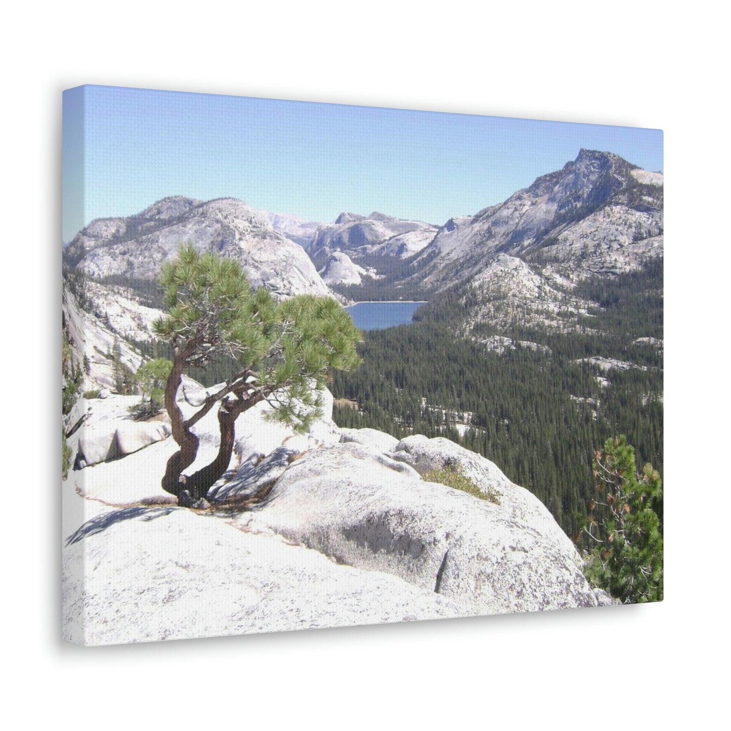 Canvas Gallery Wraps - The US National Parks - Yosemite Park peaks next to Tuolmne Meadows - California - USA NPS