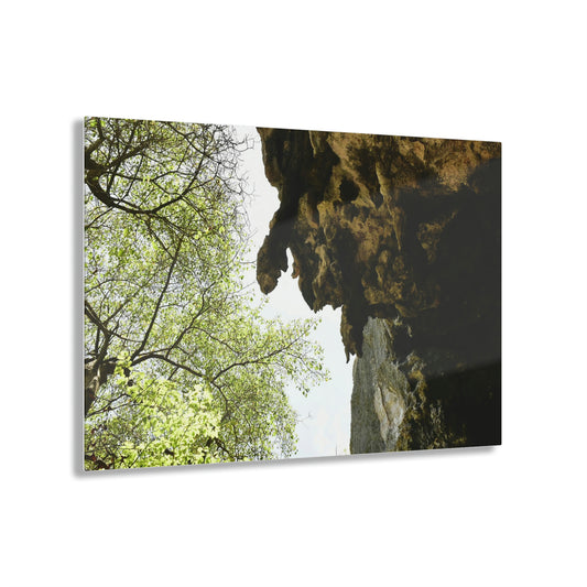 AWESOME Acrylic Prints - Stunning Pristine & Remote Mona island Puerto Rico - hidden paradise - Caves Entrance & Stalactite Above