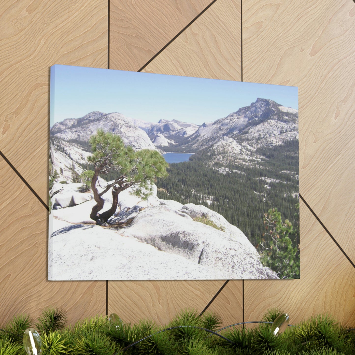 Canvas Gallery Wraps - The US National Parks - Yosemite Park peaks next to Tuolmne Meadows - California - USA NPS