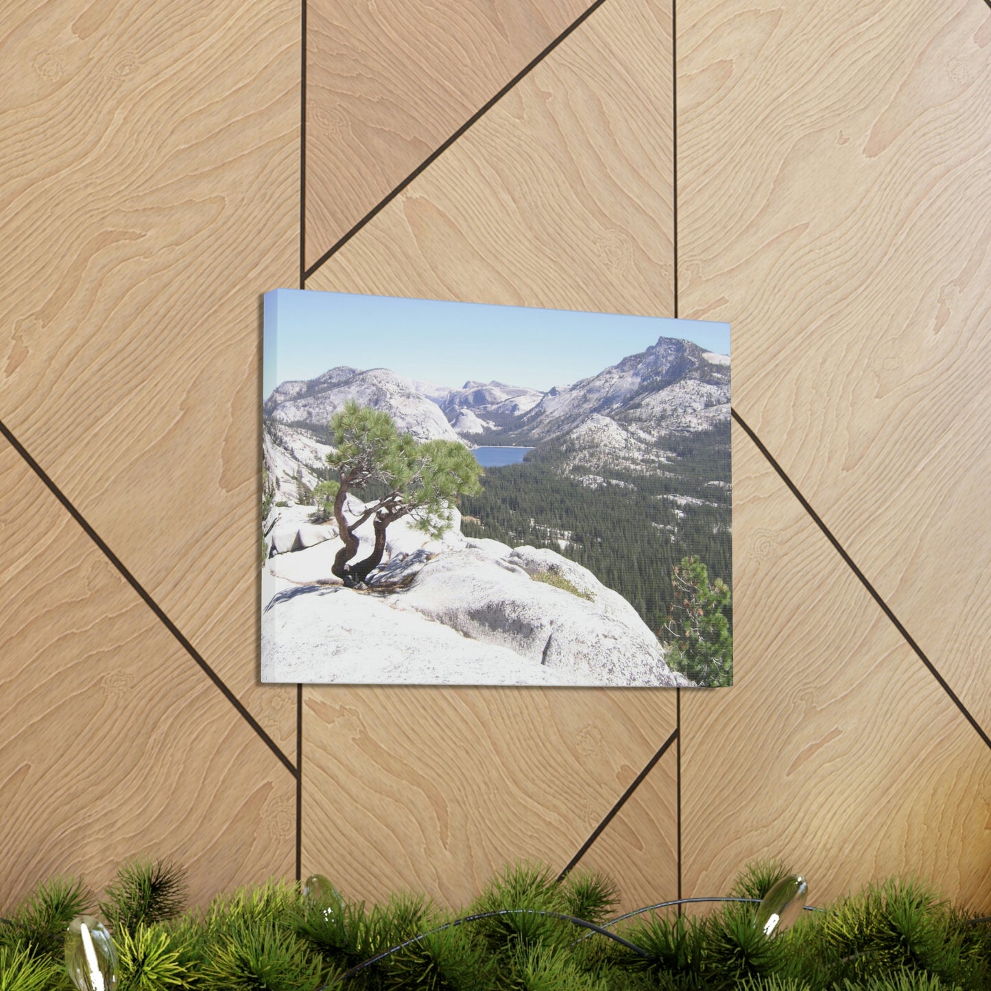 Canvas Gallery Wraps - The US National Parks - Yosemite Park peaks next to Tuolmne Meadows - California - USA NPS