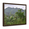 Horizontal Framed Premium Gallery Wrap Canvas - Holy Spirit River explorations - El Yunque rainforest PR