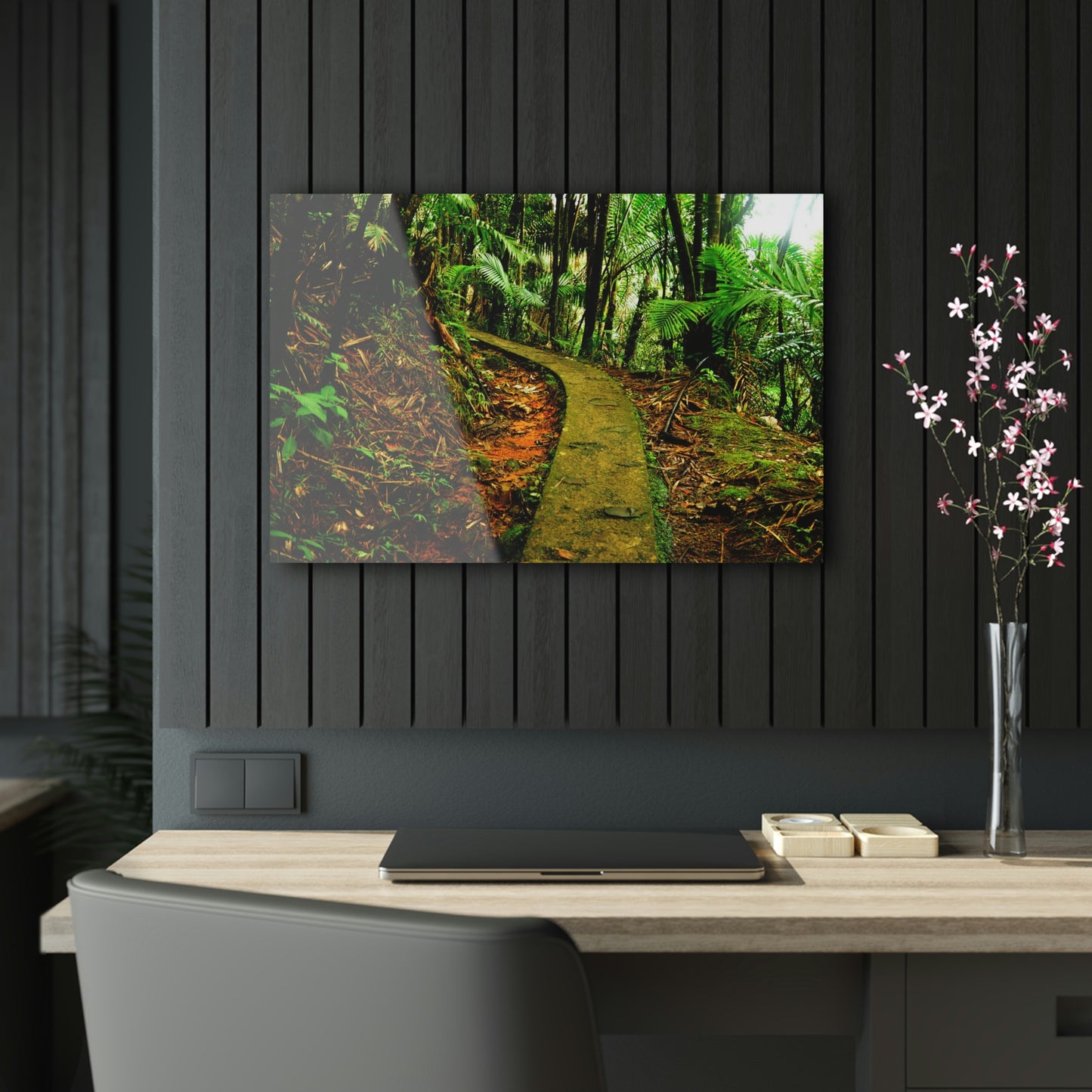 Acrylic Prints - US Made - Ideal for a Stunning Home/Office Decor Ideas - El Yunque - Mt Britton Trail Before Maria - CCMM*