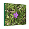 Deals on Thin Canvas - Stretched, 0.75" - Small Sizes Horizontal - Ideal for Wall Forest Mosaics - Flower in Foliage - Rio Sabana Park