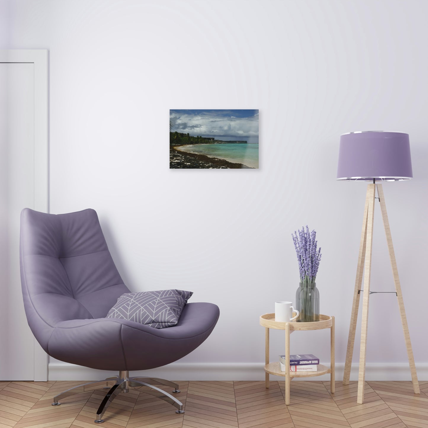 Acrylic Prints - US Made - Ideal for a Stunning Home Decor Ideas - Inspirations -  Remote Mona island Broad View of Pajaros beach & Limestone Plateau