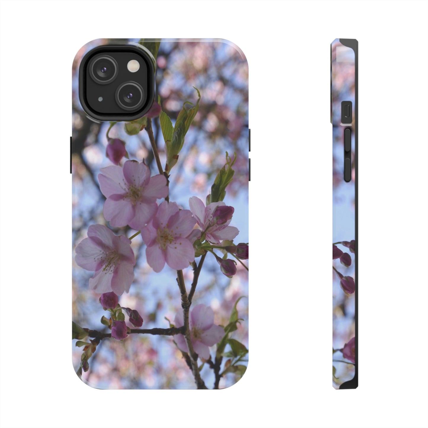 Tough Phone Cases, Case-Mate - Cherry blossom background in spring, Japan  - Made in USA