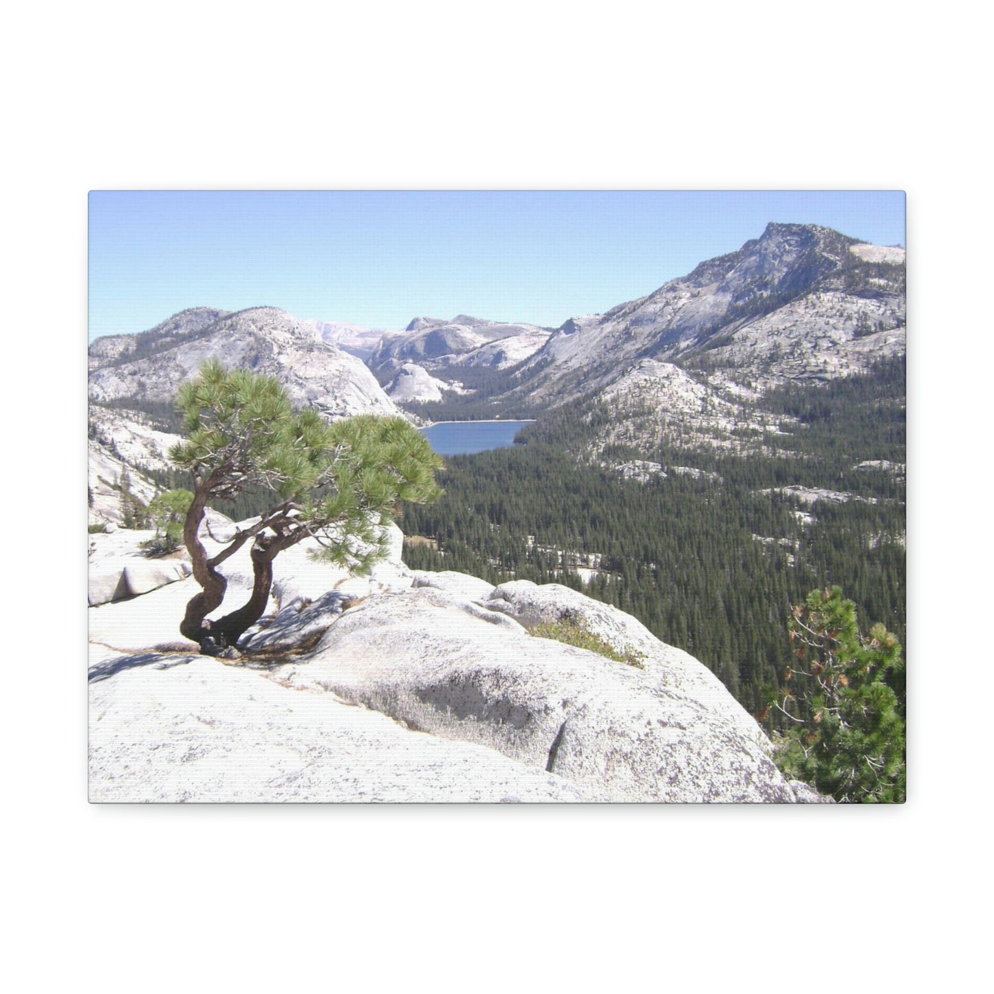 Canvas Gallery Wraps - The US National Parks - Yosemite Park peaks next to Tuolmne Meadows - California - USA NPS