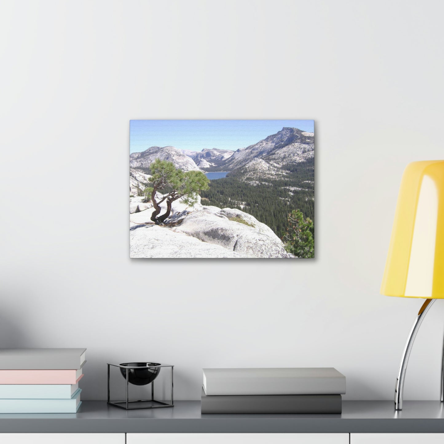 Canvas Gallery Wraps - The US National Parks - Yosemite Park peaks next to Tuolmne Meadows - California - USA NPS