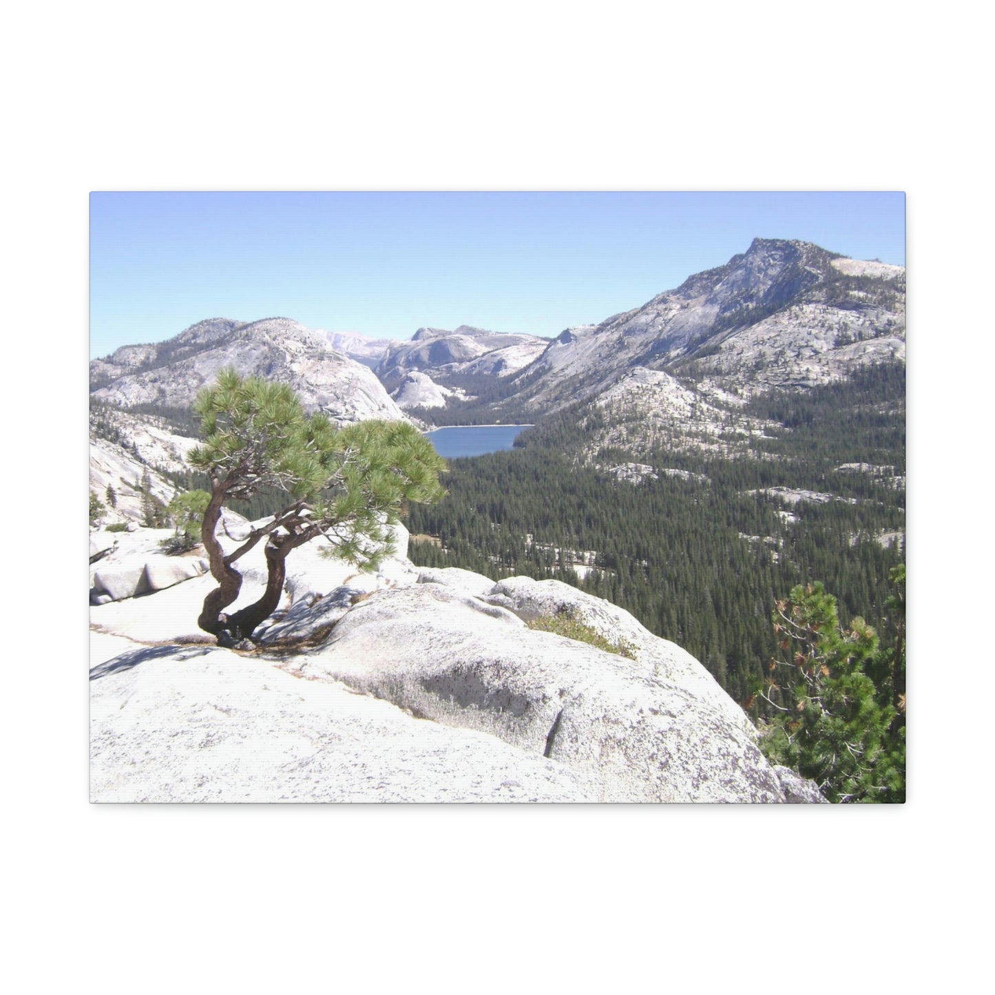 Canvas Gallery Wraps - The US National Parks - Yosemite Park peaks next to Tuolmne Meadows - California - USA NPS