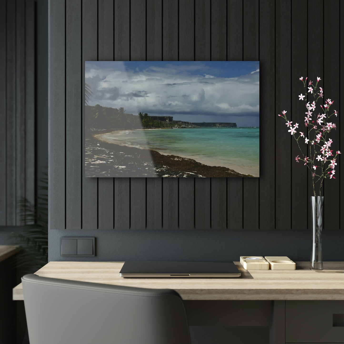 Acrylic Prints - US Made - Ideal for a Stunning Home Decor Ideas - Inspirations -  Remote Mona island Broad View of Pajaros beach & Limestone Plateau