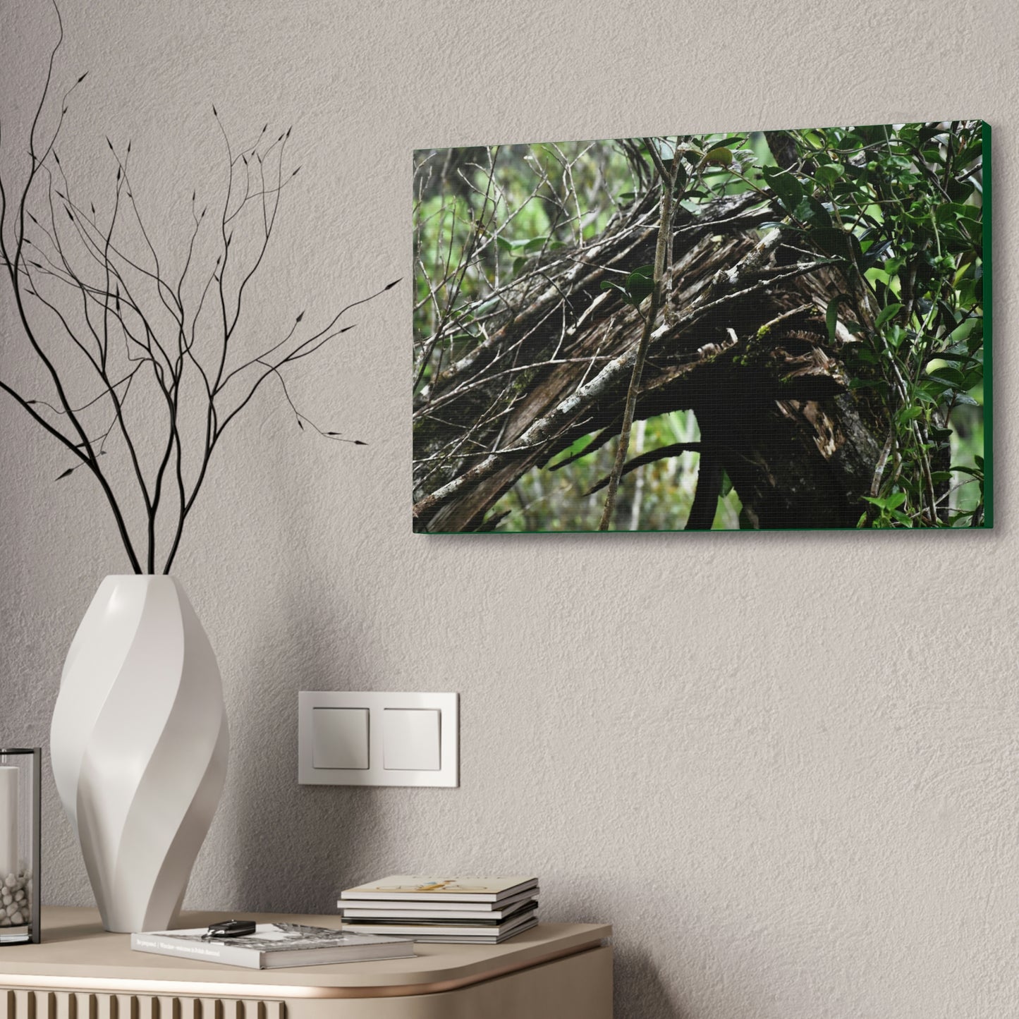 Canvas Stretched - Forest@Home - El Yunque - Recovering from Hurricane Maria - Tradewinds trail shows a broken tree