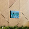 AUSTRALIA - SMALL Canvas Gallery Wraps - Made in USA - Surfer in Surfers Paradise Gold Coast Australia - Green Forest Home