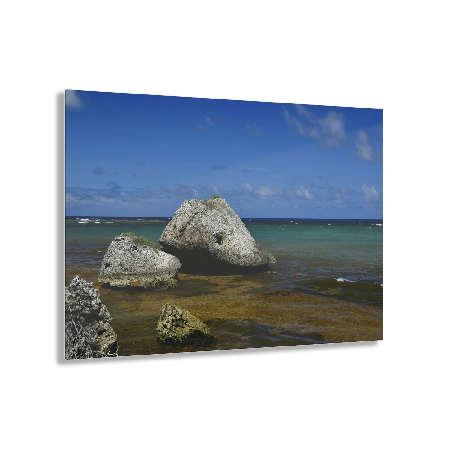 AWESOME Acrylic Prints - Stunning Pristine & Remote Mona island Puerto Rico - Boulders on the coast fallen from the cliffs & caves - Green Forest Home