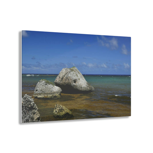 AWESOME Acrylic Prints - Stunning Pristine & Remote Mona island Puerto Rico - Boulders on the coast fallen from the cliffs & caves - Green Forest Home