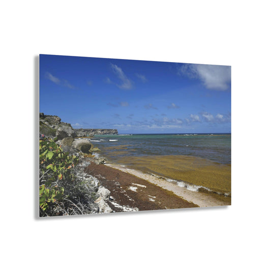 AWESOME Acrylic Prints - Stunning Pristine & Remote Mona island Puerto Rico - Broad view of Pajaros Beach & Monas Plateau - algae filled sea - Green Forest Home