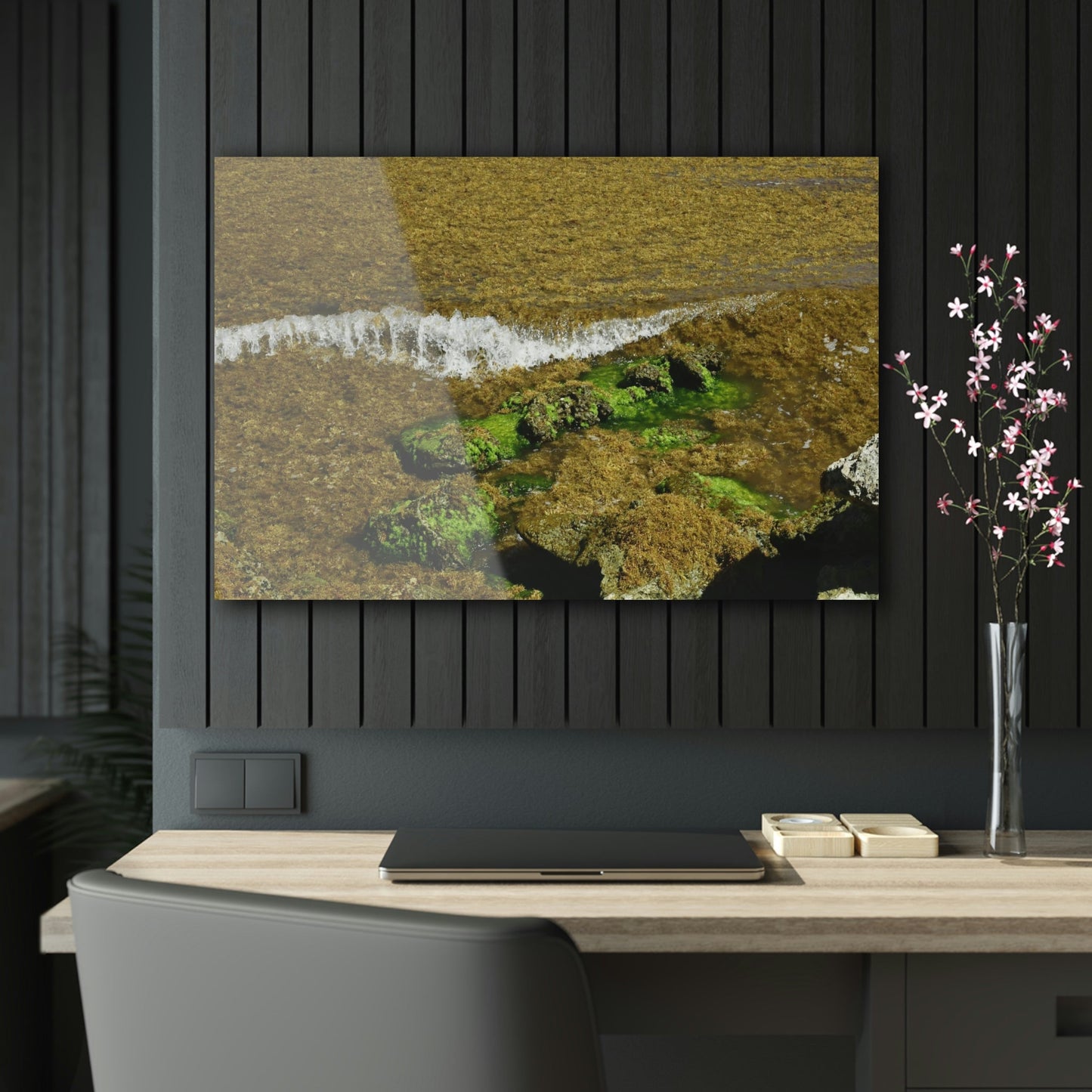 AWESOME Acrylic Prints - Stunning Pristine & Remote Mona island Puerto Rico - hidden paradise - Playa Pajaros algae filled wave breaks - Green Forest Home