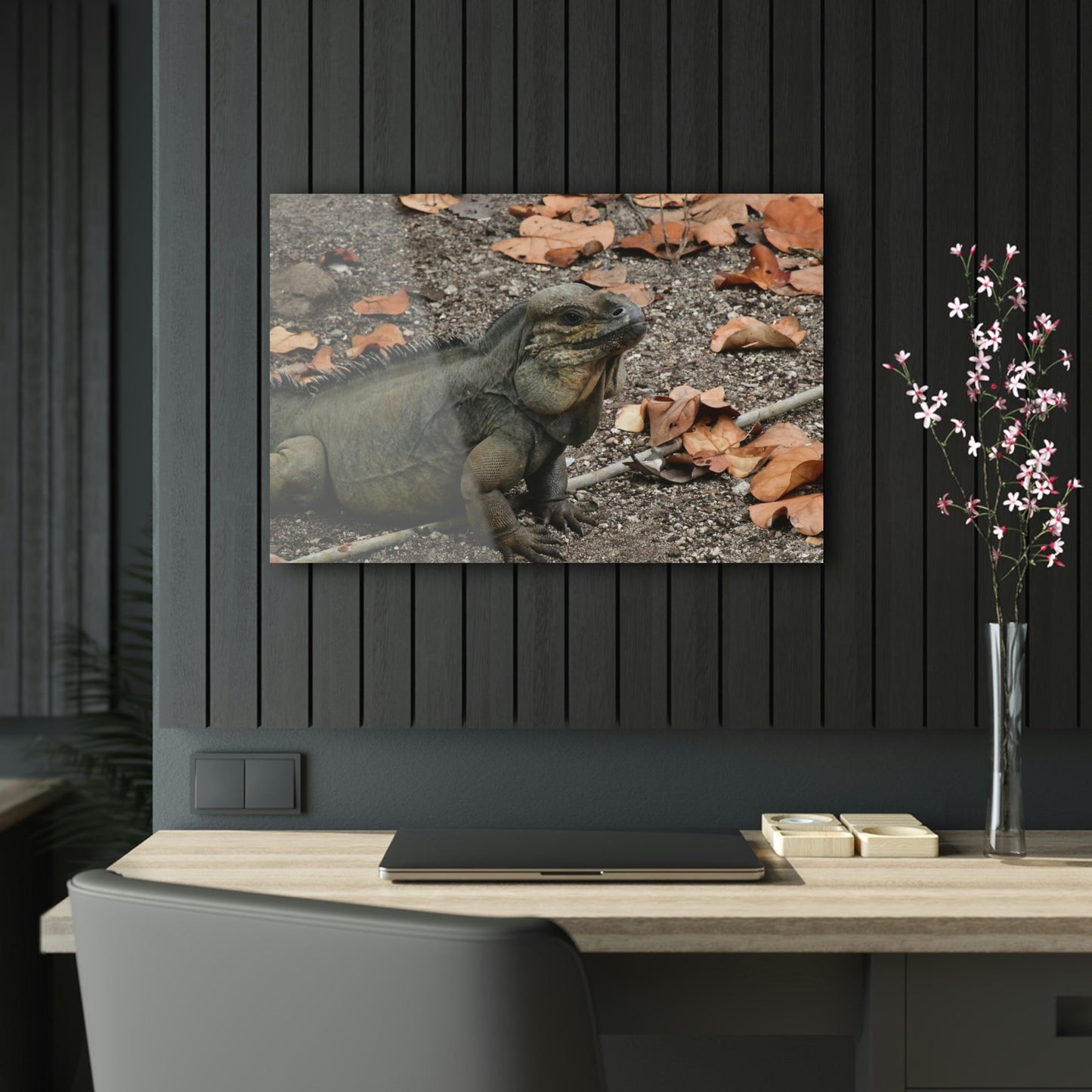 AWESOME Acrylic Prints - Stunning Pristine & Remote Mona island Puerto Rico - hidden paradise - Playa Pajaros Native Iguana - Green Forest Home