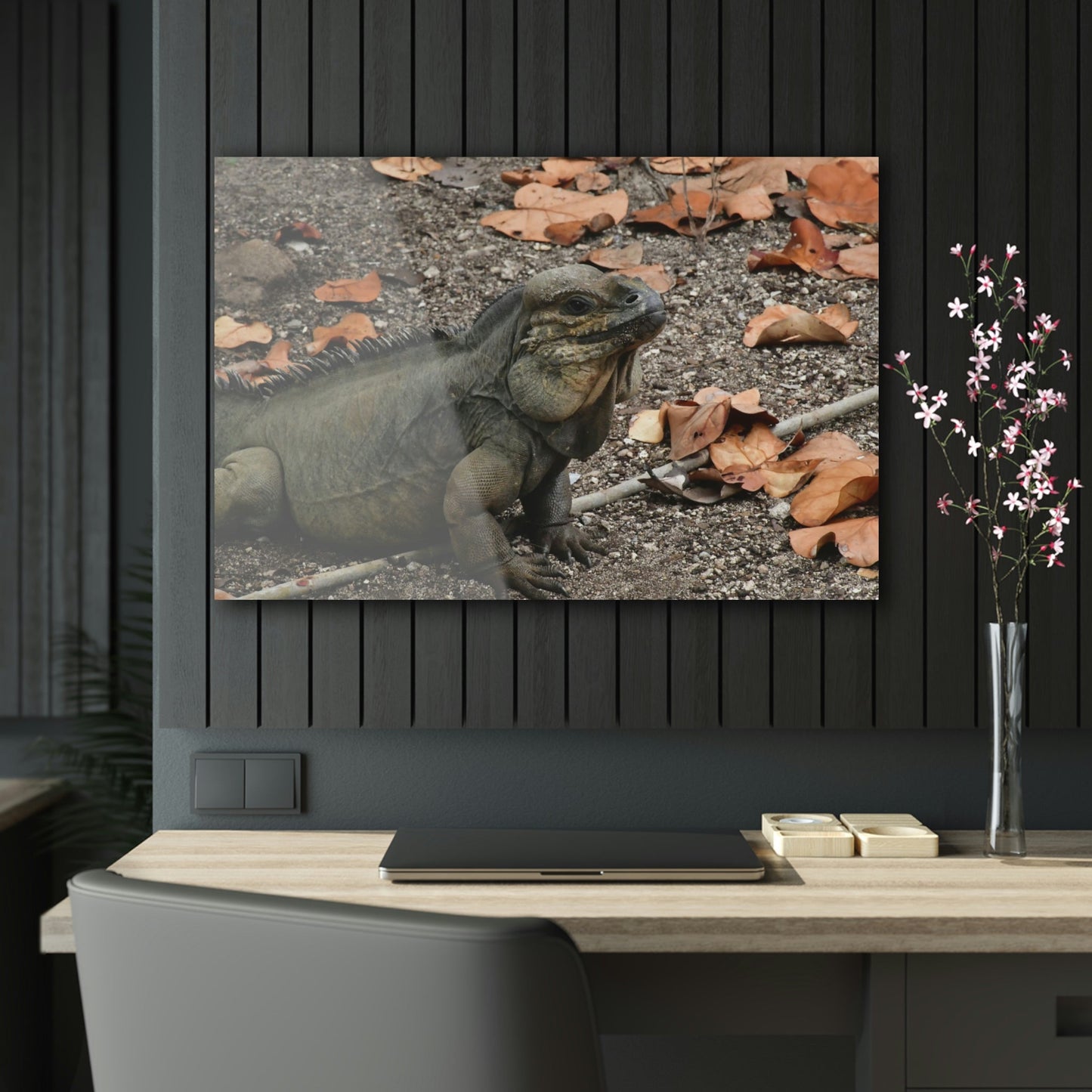 AWESOME Acrylic Prints - Stunning Pristine & Remote Mona island Puerto Rico - hidden paradise - Playa Pajaros Native Iguana - Green Forest Home