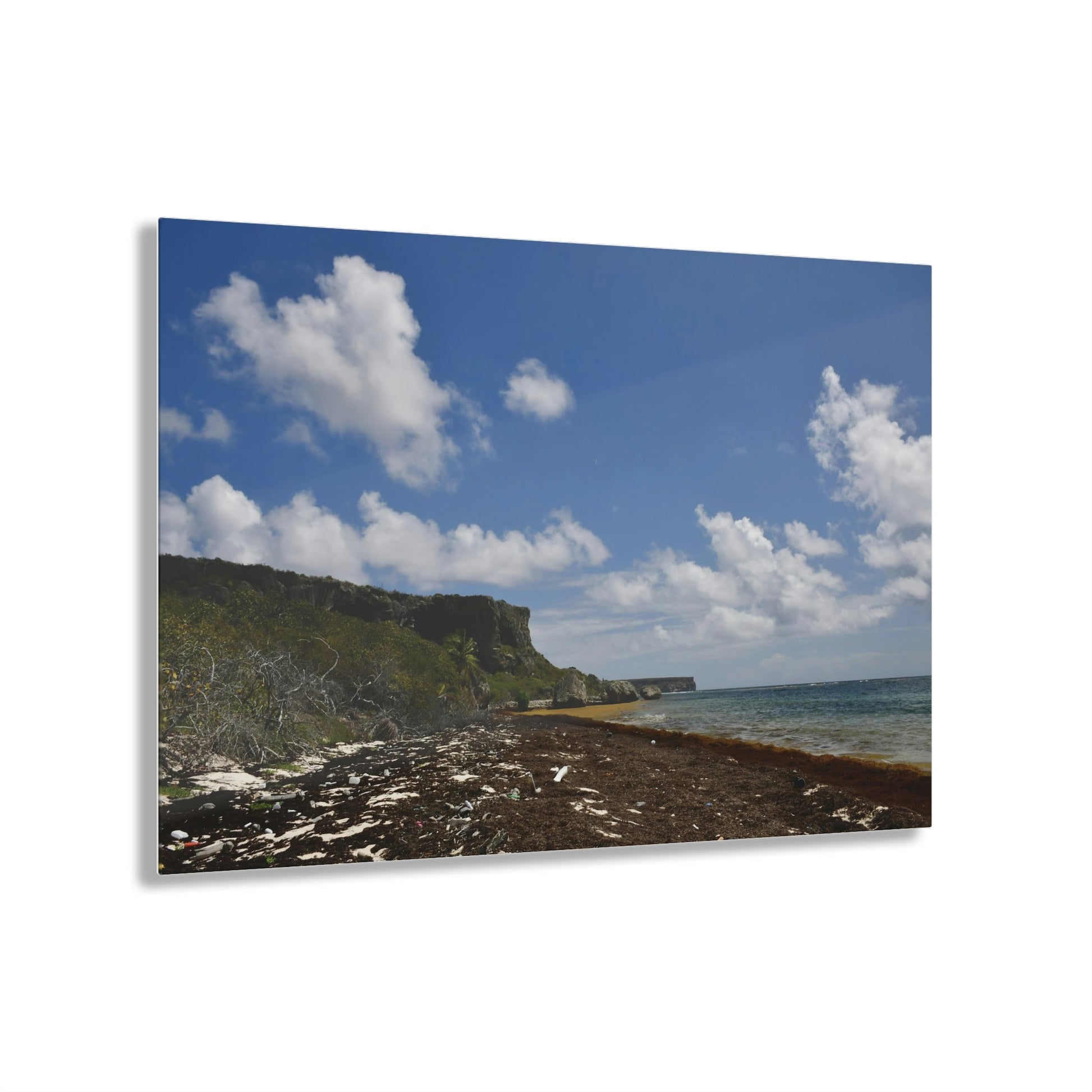 AWESOME Acrylic Prints - Stunning Pristine & Remote Mona island Puerto Rico - hidden paradise - Playa Pajaros view of Plateau - Green Forest Home