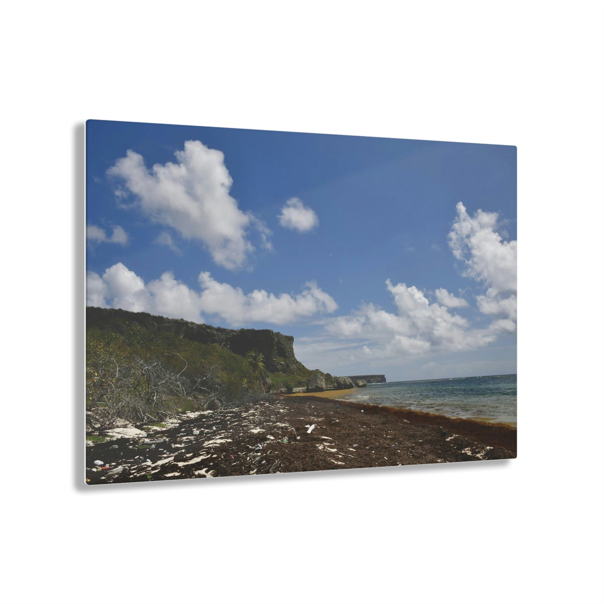 AWESOME Acrylic Prints - Stunning Pristine & Remote Mona island Puerto Rico - hidden paradise - Playa Pajaros view of Plateau - Green Forest Home