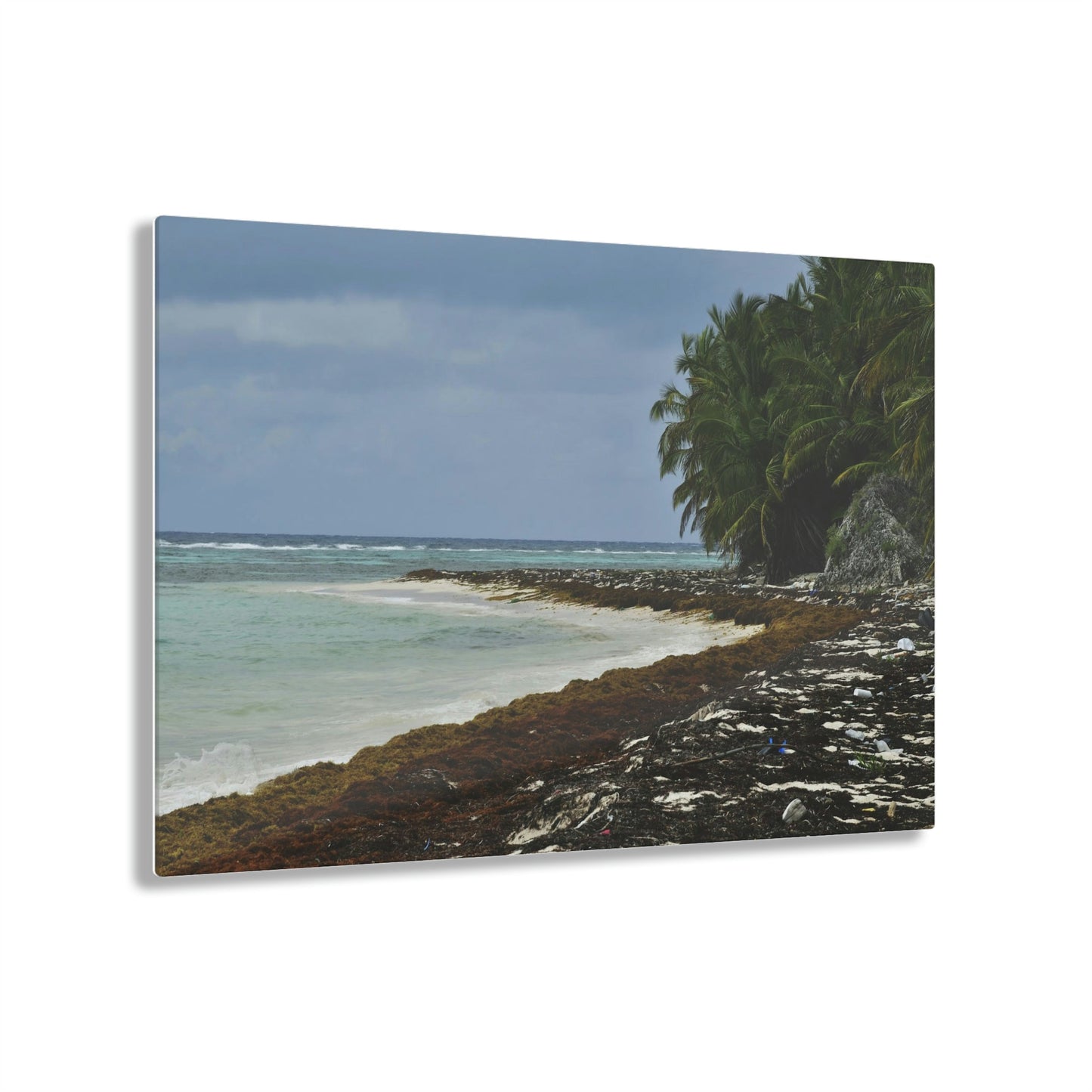 AWESOME Acrylic Prints - Stunning Pristine & Remote Mona island Puerto Rico - Marvelous View of Pajaros Beach & algae filled sand - Green Forest Home