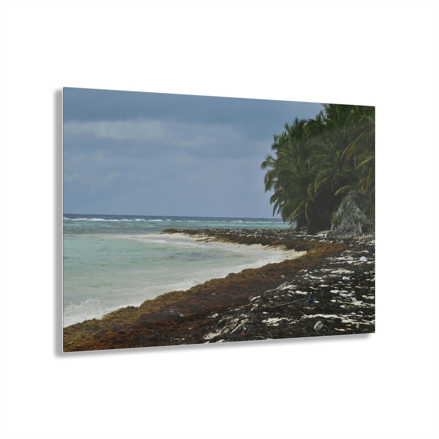 AWESOME Acrylic Prints - Stunning Pristine & Remote Mona island Puerto Rico - Marvelous View of Pajaros Beach & algae filled sand - Green Forest Home