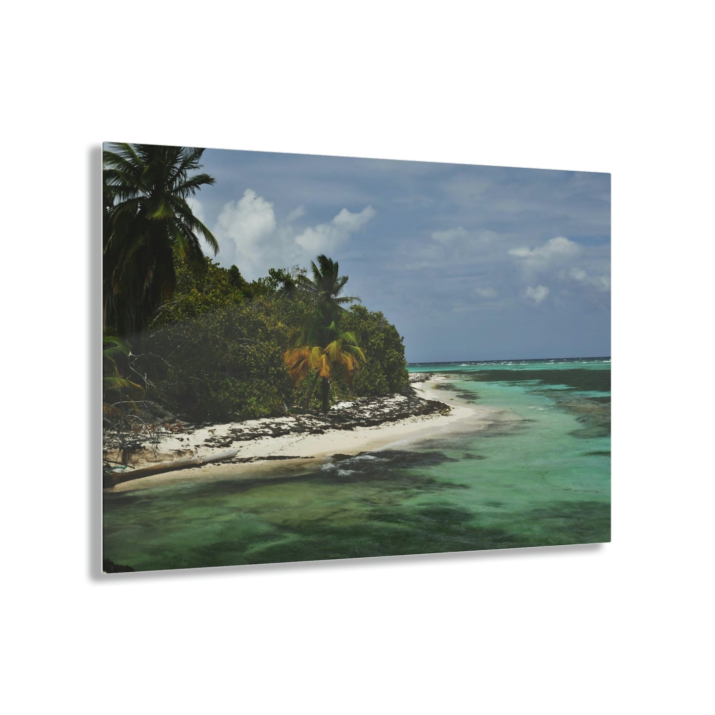 AWESOME Acrylic Prints - Stunning Pristine & Remote Mona island Puerto Rico - Near the edge of Pajaros a rich oceans view - Green Forest Home