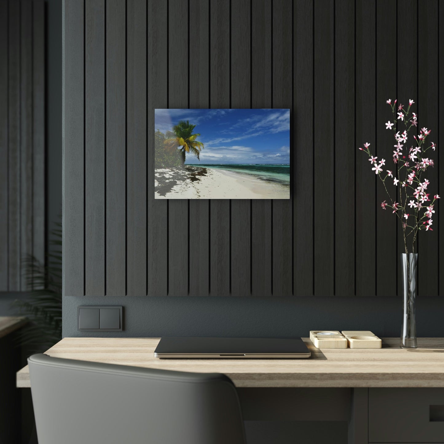 AWESOME Acrylic Prints - Stunning Pristine & Remote Mona island Puerto Rico - Pajaros beach - my dream picture - nicest place to swim & relax - Green Forest Home