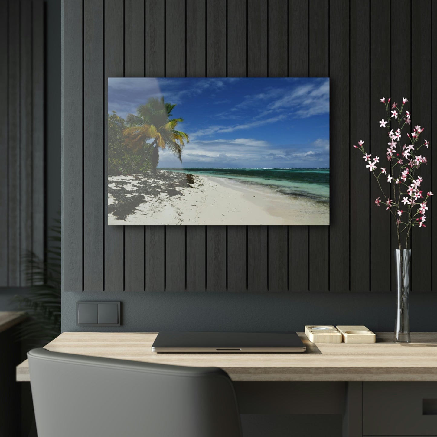 AWESOME Acrylic Prints - Stunning Pristine & Remote Mona island Puerto Rico - Pajaros beach - my dream picture - nicest place to swim & relax - Green Forest Home