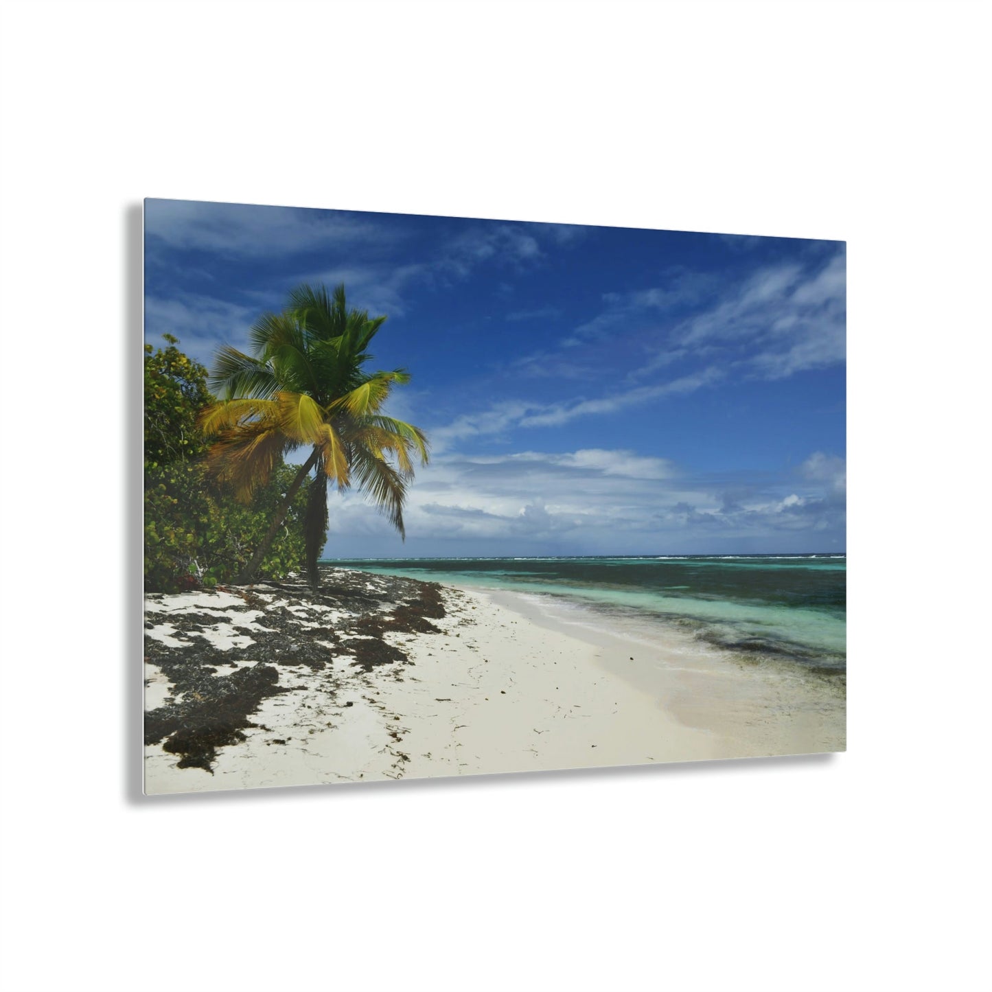 AWESOME Acrylic Prints - Stunning Pristine & Remote Mona island Puerto Rico - Pajaros beach - my dream picture - nicest place to swim & relax - Green Forest Home