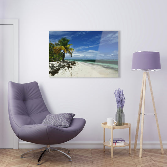 AWESOME Acrylic Prints - Stunning Pristine & Remote Mona island Puerto Rico - Pajaros beach - my dream picture - nicest place to swim & relax - Green Forest Home