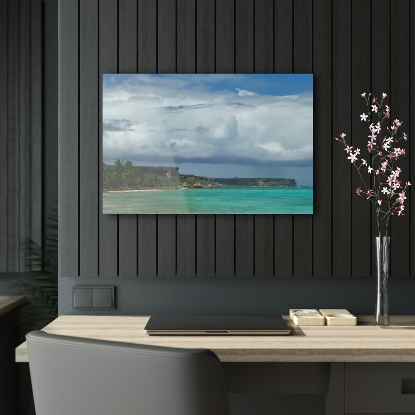 AWESOME Acrylic Prints - Stunning Pristine & Remote Mona island Puerto Rico - Pajaros view of Monas Plateau and awesome blue oceans view - Green Forest Home