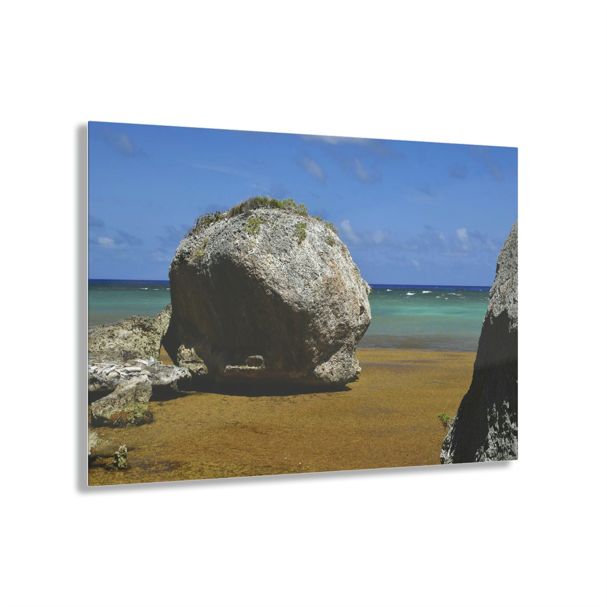 AWESOME Acrylic Prints - Stunning Pristine & Remote Mona island Puerto Rico - Playa Pajaros boulders and algae in beach - Green Forest Home