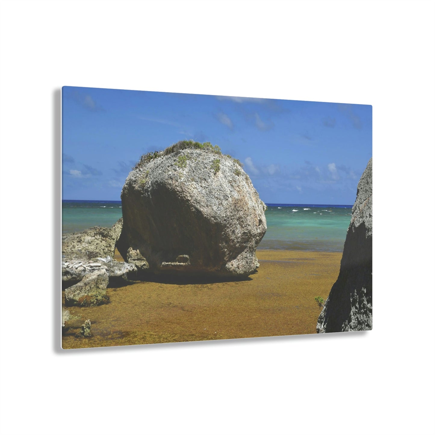 AWESOME Acrylic Prints - Stunning Pristine & Remote Mona island Puerto Rico - Playa Pajaros boulders and algae in beach - Green Forest Home