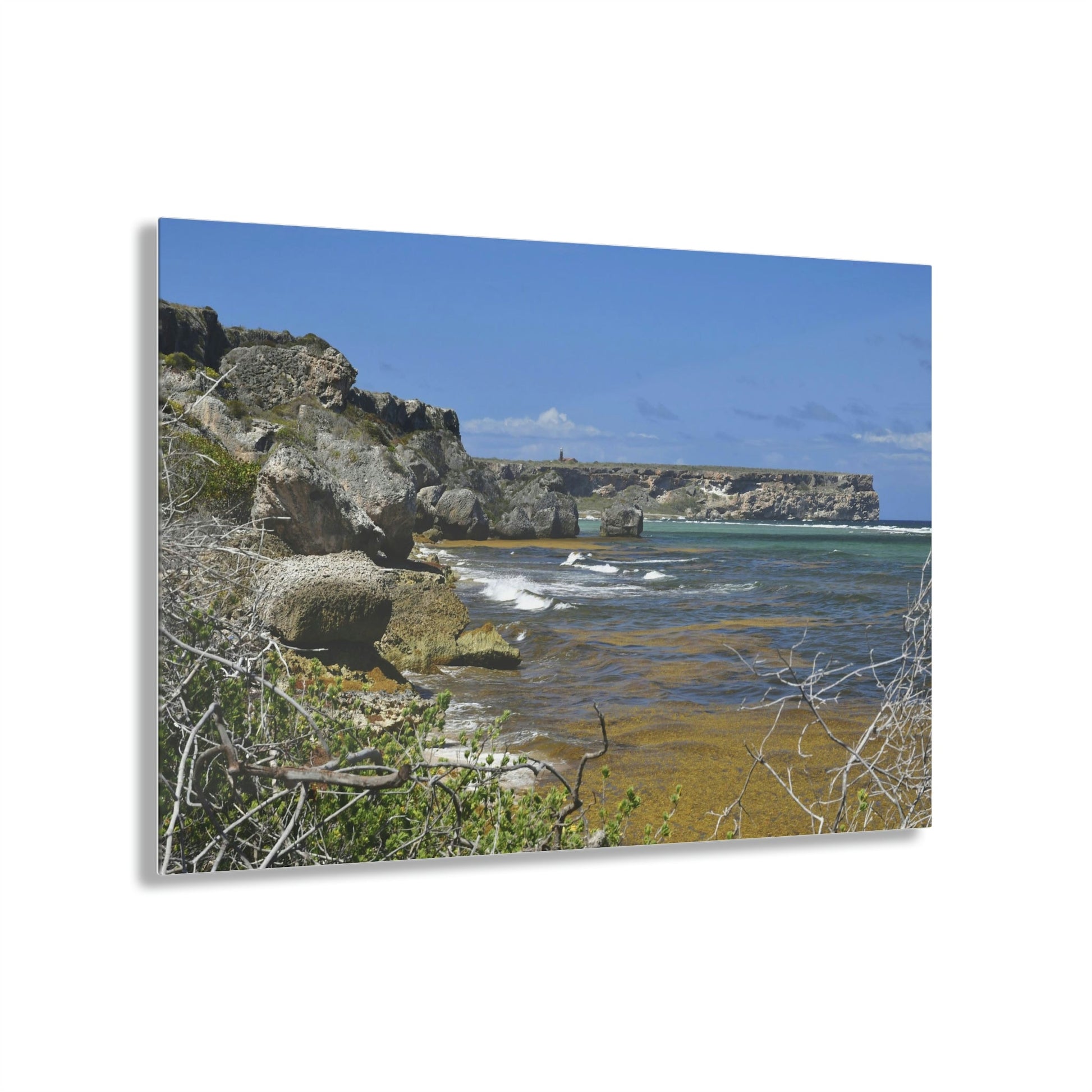 AWESOME Acrylic Prints - Stunning Pristine & Remote Mona island Puerto Rico - View of Monas Plateau from the Edge of Playa Pajaros - Green Forest Home