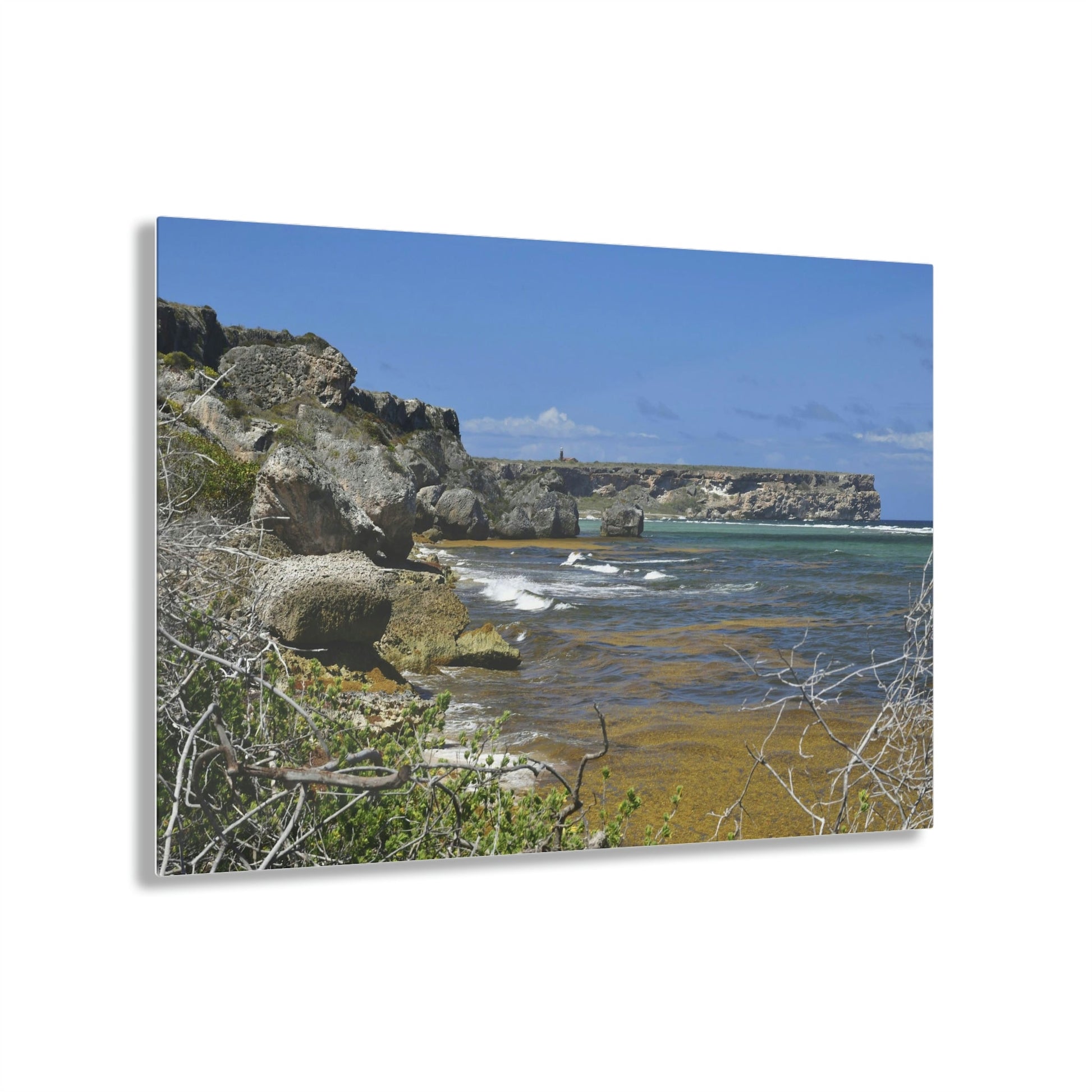 AWESOME Acrylic Prints - Stunning Pristine & Remote Mona island Puerto Rico - View of Monas Plateau from the Edge of Playa Pajaros - Green Forest Home