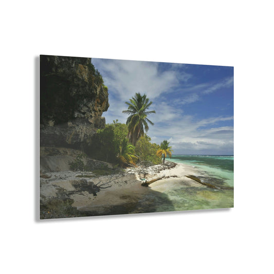 AWESOME Acrylic Prints - Stunning Pristine & Remote Mona island Puerto Rico - View of Pajaros Beach edge next to caves - Is this Paradise? - Green Forest Home