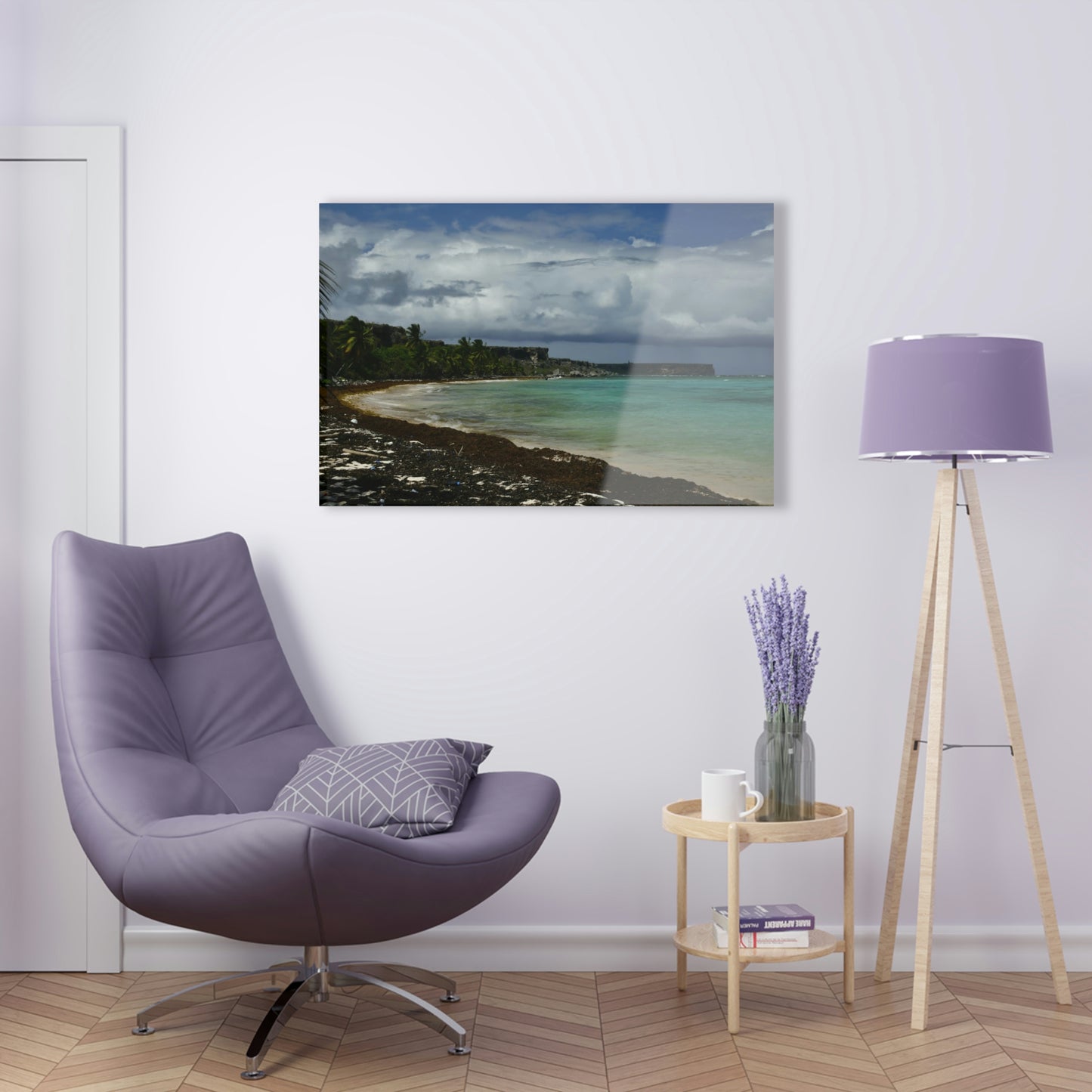 Acrylic Prints - US Made - Ideal for a Stunning Home Decor Ideas - Inspirations -  Remote Mona island Broad View of Pajaros beach & Limestone Plateau