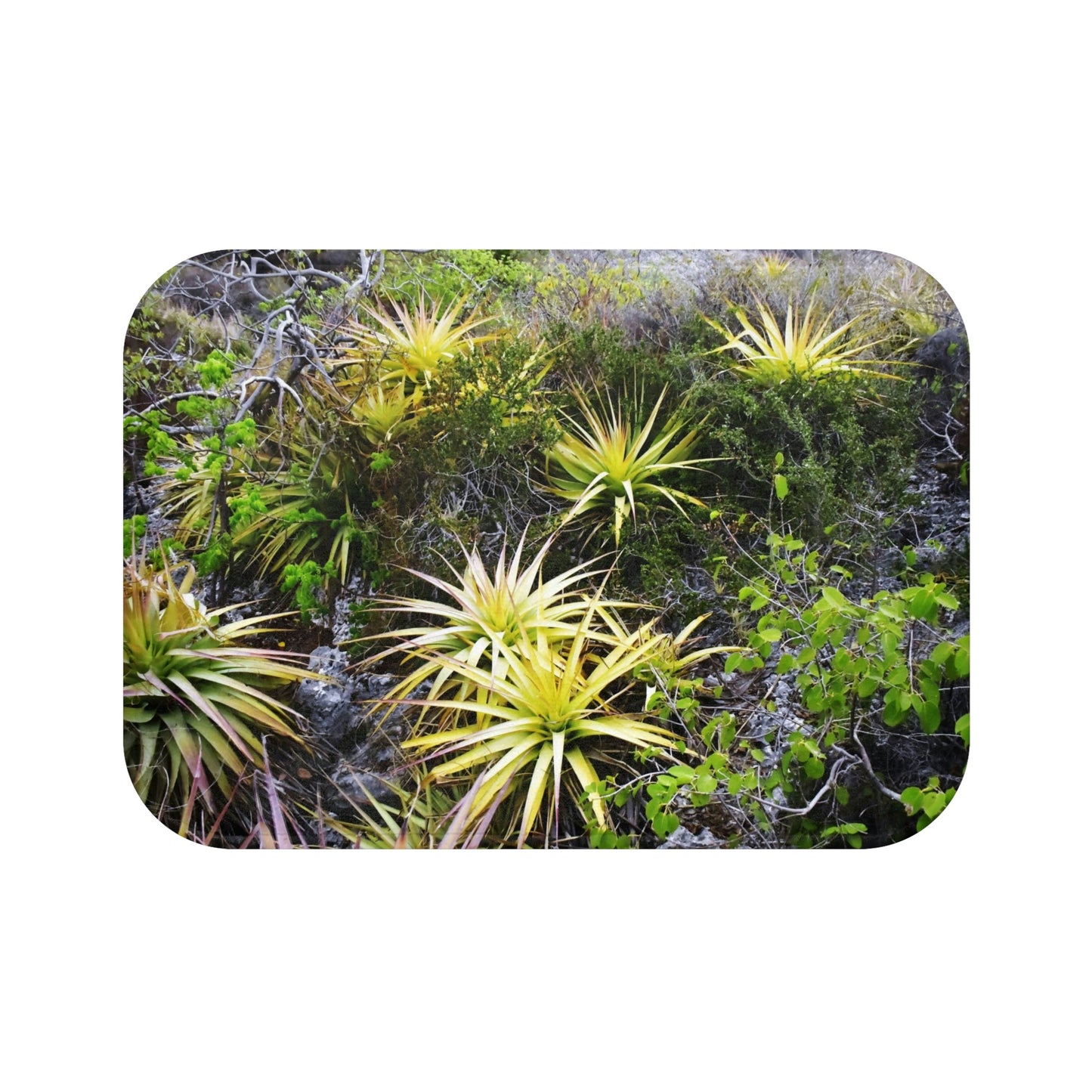 Bath Mat - Mona island desertic plants in upper plateau - Mona island PR - Green Forest Home