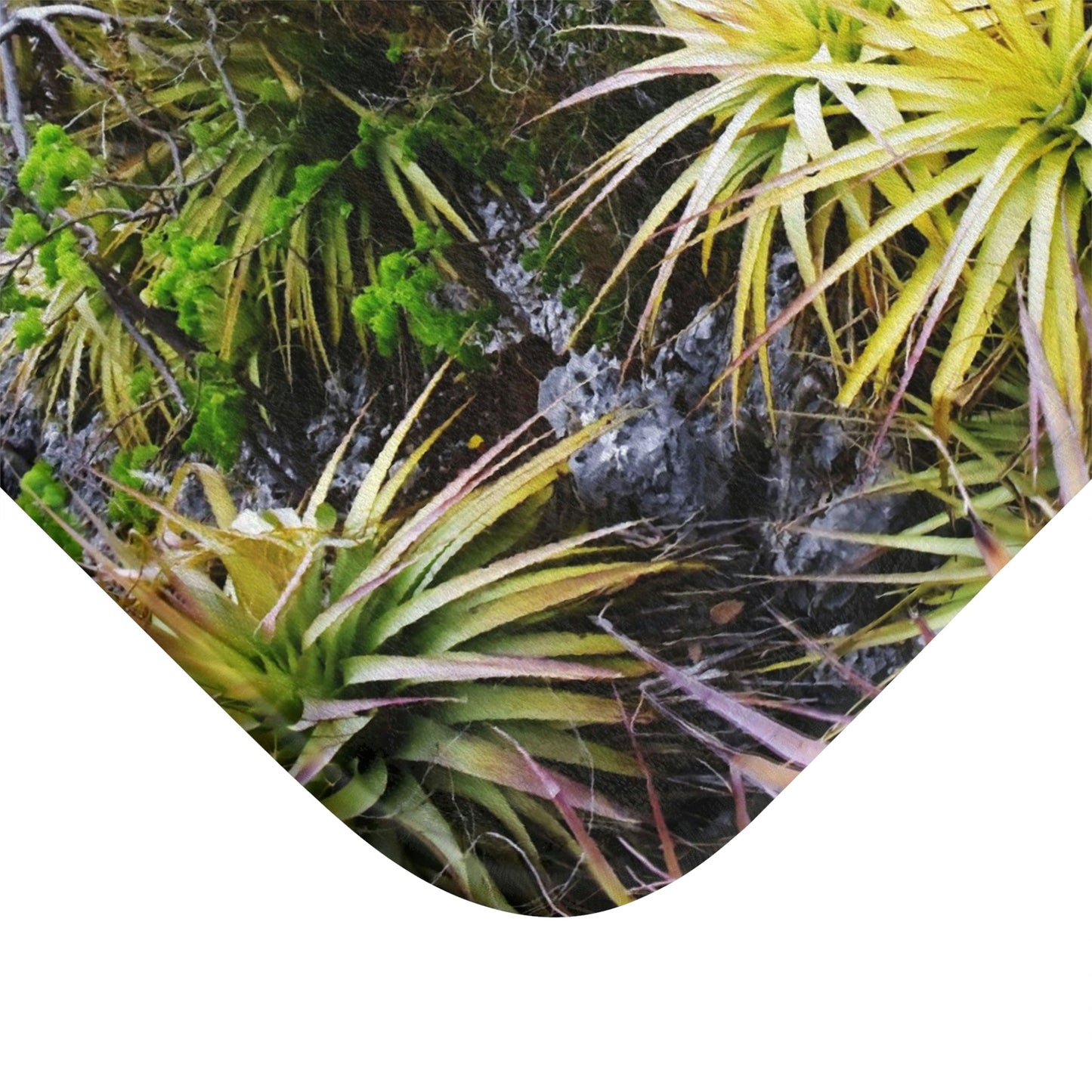 Bath Mat - Mona island desertic plants in upper plateau - Mona island PR - Green Forest Home