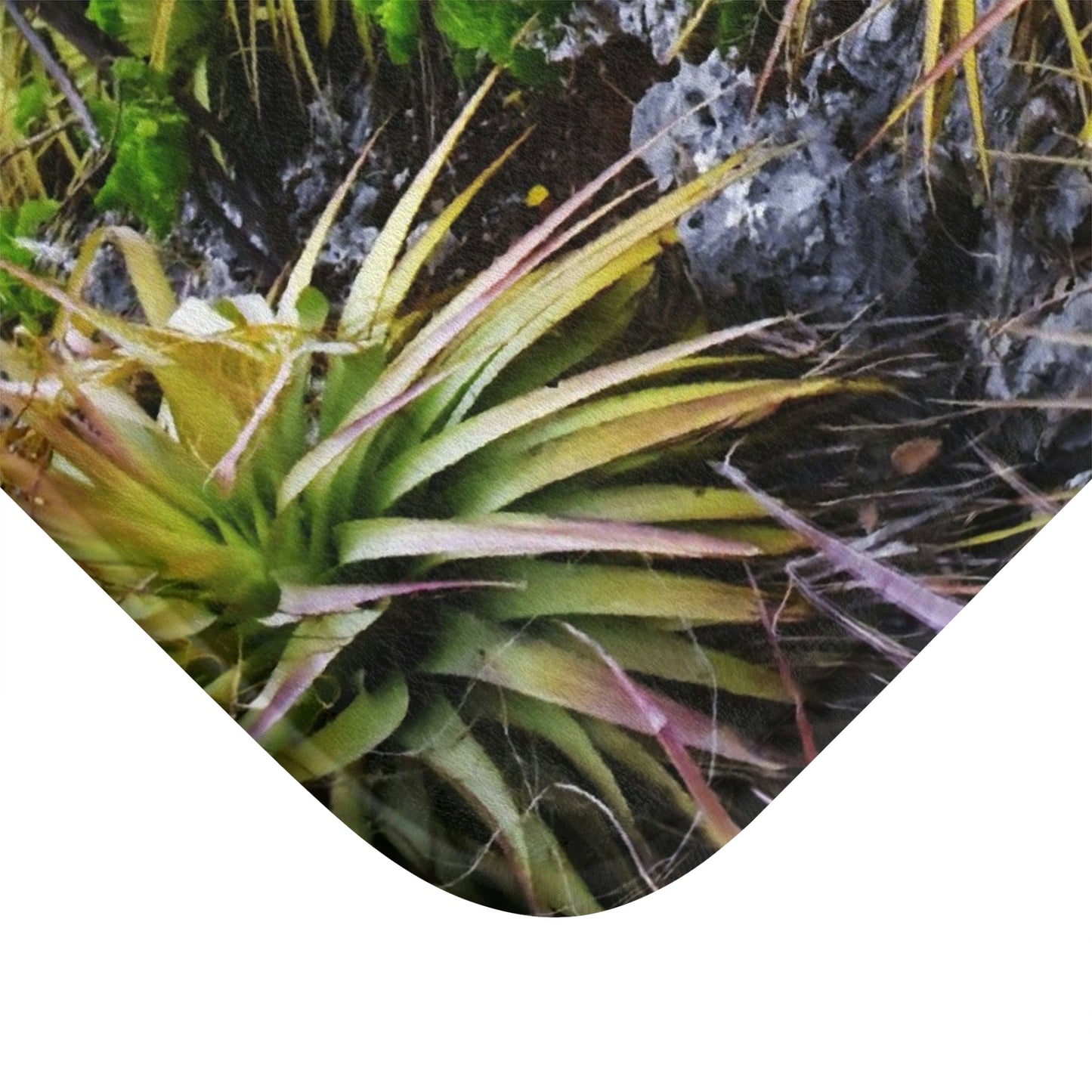 Bath Mat - Mona island desertic plants in upper plateau - Mona island PR - Green Forest Home